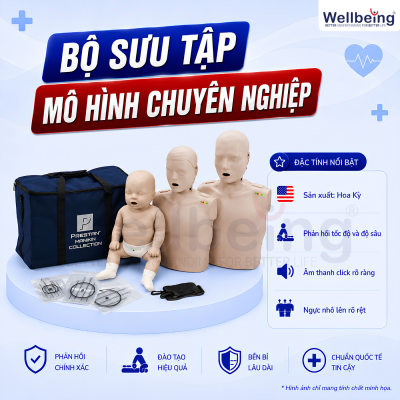 Bộ sưu tập mô hình Professional Manikin Collection PRESTAN (Liên hệ để nhận giá tốt nhất)