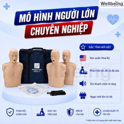 Mô hình người lớn Professional PRESTAN