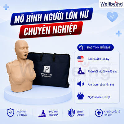 Mô hình người lớn nữ Professional PRESTAN
