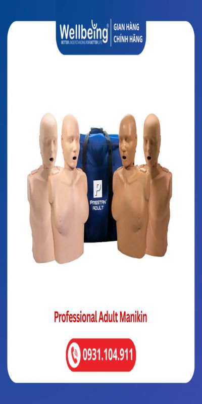 Mô hình người lớn Professional PRESTAN