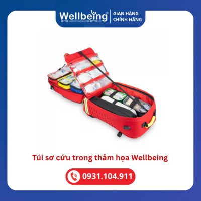 Túi sơ cứu trong thảm họa Wellbeing
