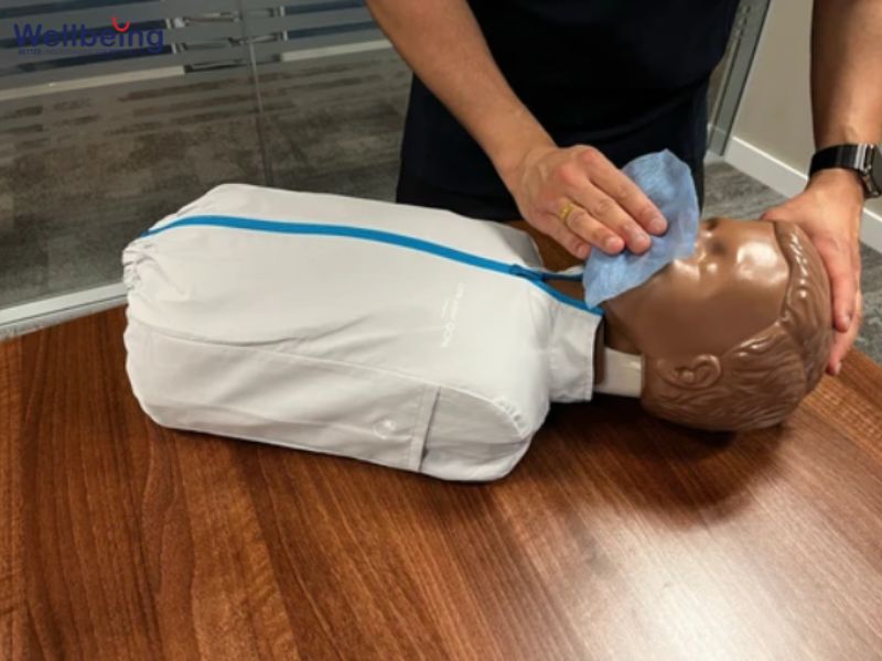 Làm sạch mô hình CPR 