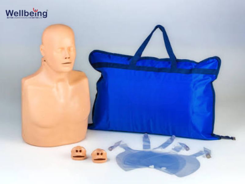 Mô hình CPR 