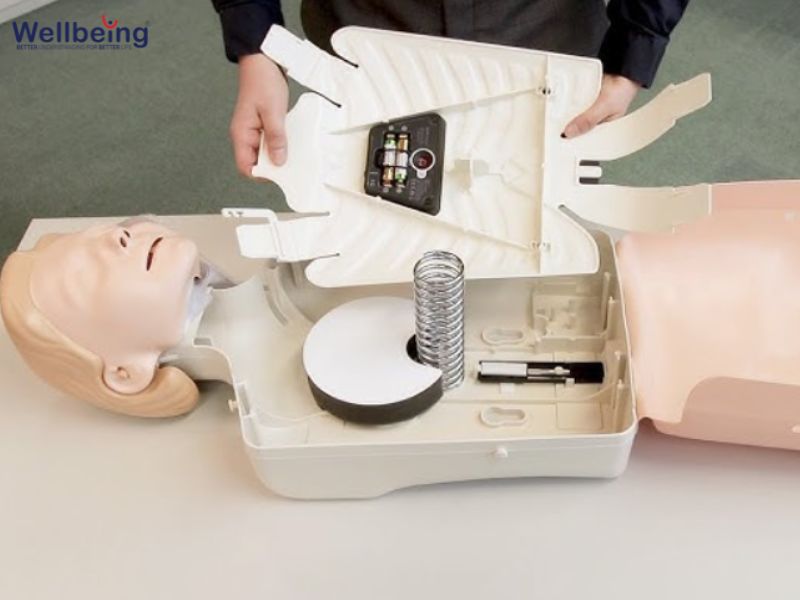 Mô hình đào tạo người lớn QCPR 